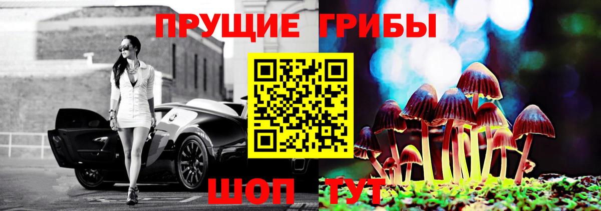 Среднеуральск  Галлюциногенные грибы Psilocybine cubensis  Псилоцибиновые грибы ЛСД  Вход с VPN 